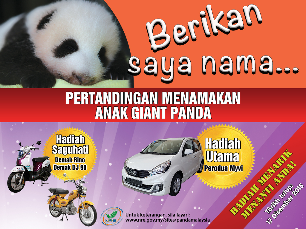 panda